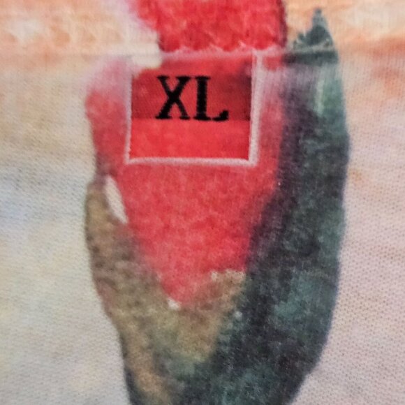 Jess & Jane Venice Alley Top XL Floral Long Sleeve Tunic Made In USA - Picture 4 of 8